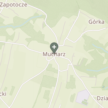 Praktyka Fizjoterapeutyczna na mapie