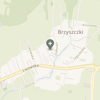Praktyka Fizjoterapeutyczna na mapie