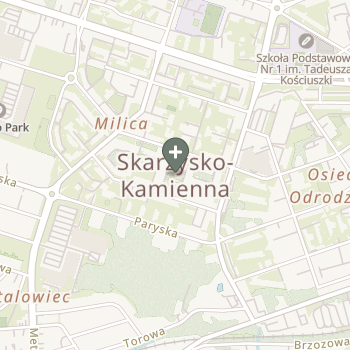 Praktyka Fizjoterapeutyczna na mapie