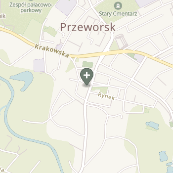 Praktyka Fizjoterapeutyczna na mapie