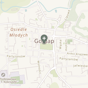 Praktyka Fizjoterapeutyczna na mapie