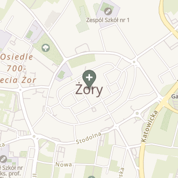Praktyka Fizjoterapeutyczna na mapie