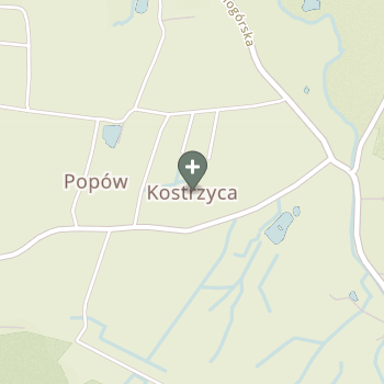 Praktyka Fizjoterapeutyczna na mapie