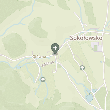Praktyka Fizjoterapeutyczna na mapie