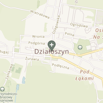 Praktyka Fizjoterapeutyczna na mapie