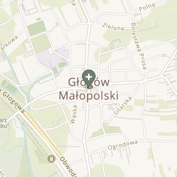 Praktyka Fizjoterapeutyczna na mapie