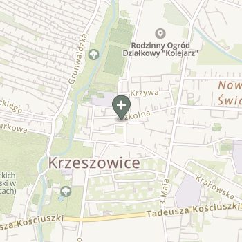 Praktyka Fizjoterapeutyczna na mapie