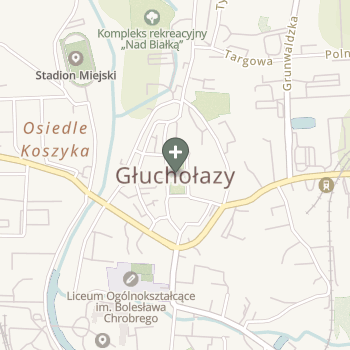 Praktyka Fizjoterapeutyczna na mapie