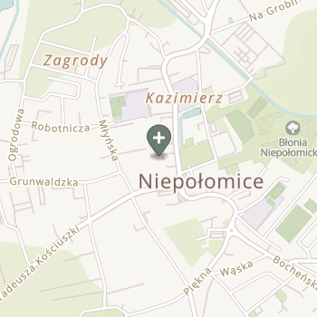 Praktyka Fizjoterapeutyczna na mapie
