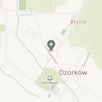Praktyka Fizjoterapeutyczna na mapie