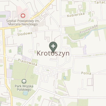 Praktyka Fizjoterapeutyczna na mapie