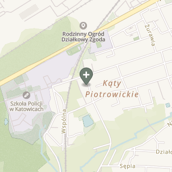Praktyka Fizjoterapeutyczna na mapie