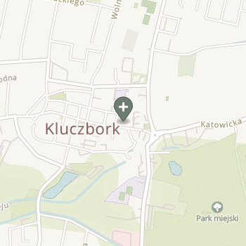 Praktyka Fizjoterapeutyczna na mapie