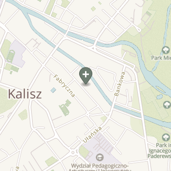 Praktyka Fizjoterapeutyczna na mapie