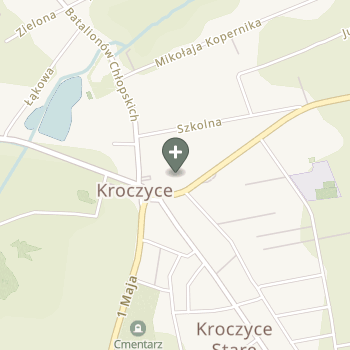 Praktyka Fizjoterapeutyczna na mapie
