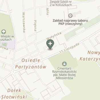 Praktyka Fizjoterapeutyczna na mapie