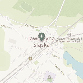 Praktyka Fizjoterapeutyczna na mapie