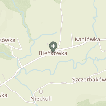 Praktyka Fizjoterapeutyczna na mapie