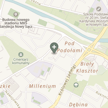Praktyka Fizjoterapeutyczna na mapie