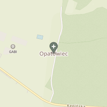 Praktyka Fizjoterapeutyczna na mapie