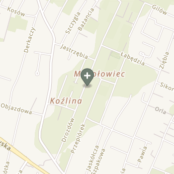 Mirosław Kokosz na mapie