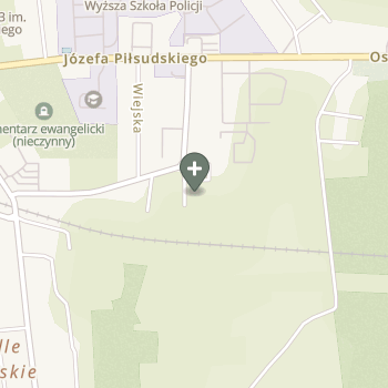 Kacper Stepokura na mapie