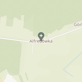 Anna Lewicka na mapie