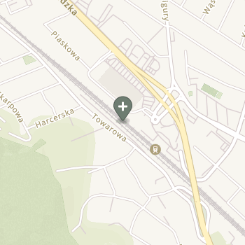 Adriana Kotfis na mapie