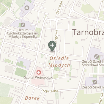 Damian Staszczyk na mapie