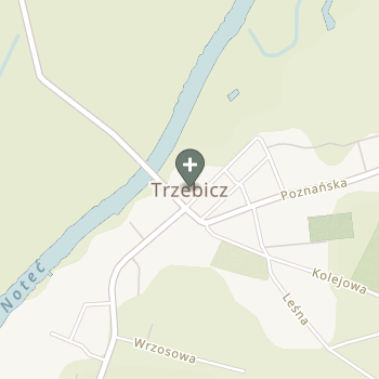 Karolina Grek na mapie