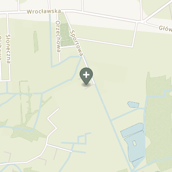 Małgorzata Bajer na mapie