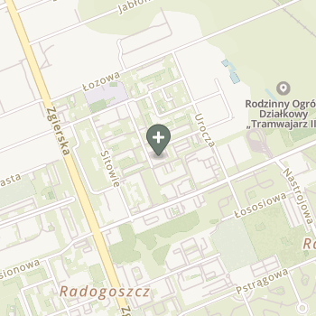 Aleksandra Delikatna na mapie