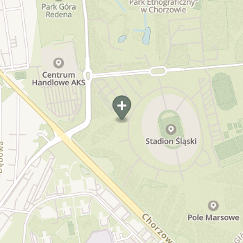 Agnieszka Dziemiera-Opiłka na mapie