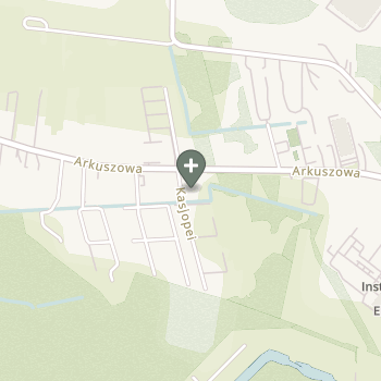 Aleksandra Kłak-Dziemian na mapie