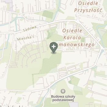 Aleksandra Żmija na mapie