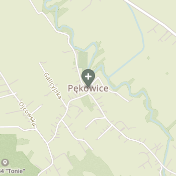 Małgorzata Główka na mapie