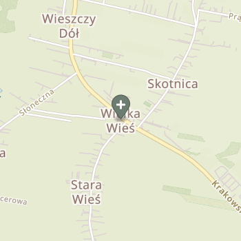 Irmina Fabjańska-Boczek na mapie