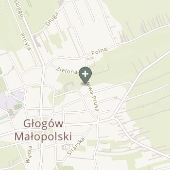 Rafał Kozicki na mapie