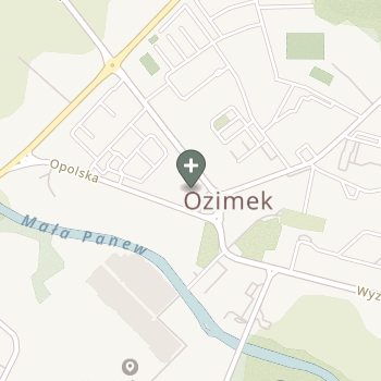 Anita Grajoszek na mapie