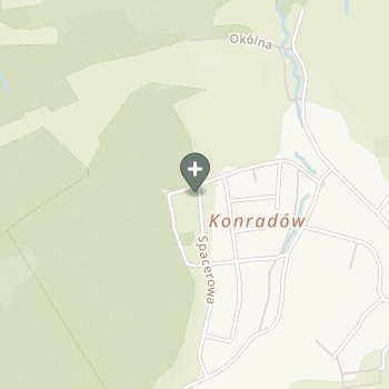 Sławomir Wojtkiewicz na mapie