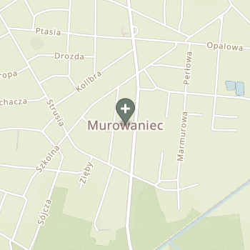 Anna Lewandowska na mapie