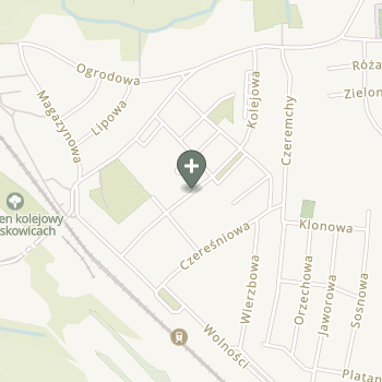 Anna Rusinowska na mapie