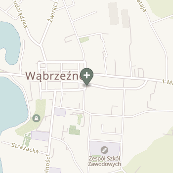 Janina Kowalska na mapie