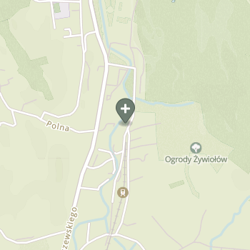 Aleksandra Borzęcka-Mirek na mapie