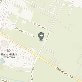 Jagoda Śleziona na mapie