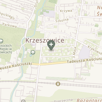 Anna Chrząścik na mapie