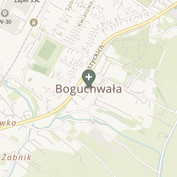 Karolina Trzyna na mapie