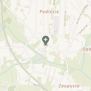 Alicja Willem na mapie