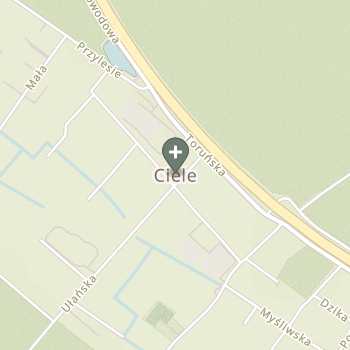 Katarzyna Kulczyńska na mapie