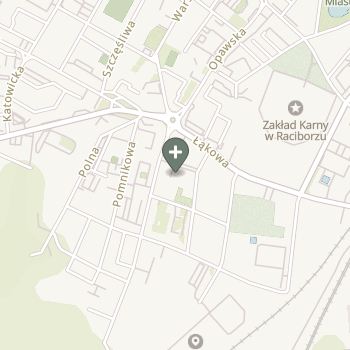 Kaja Jurkiewicz na mapie